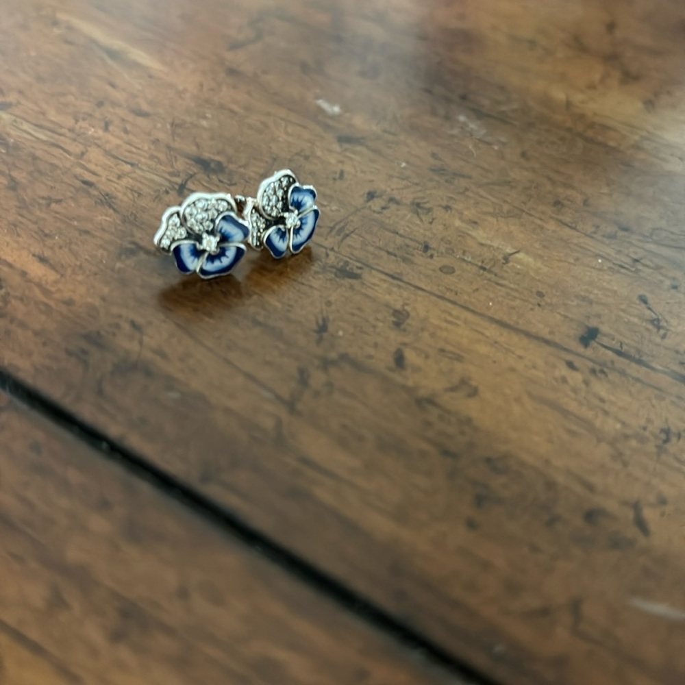 Pandora earrings